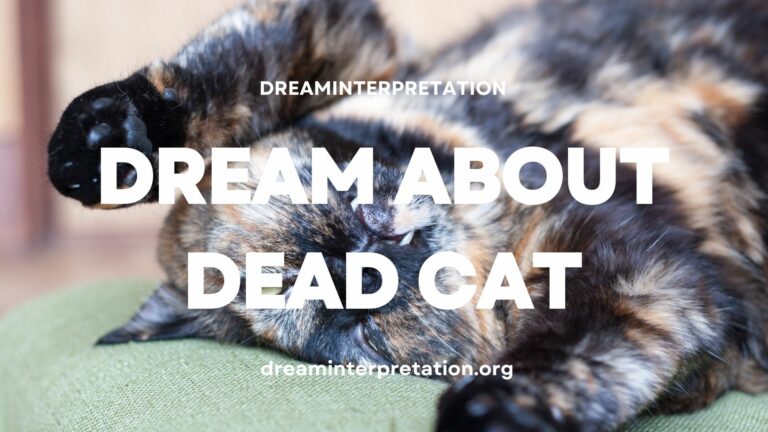 Dream About Dead Cat (Interpretation & Spiritual Meaning)