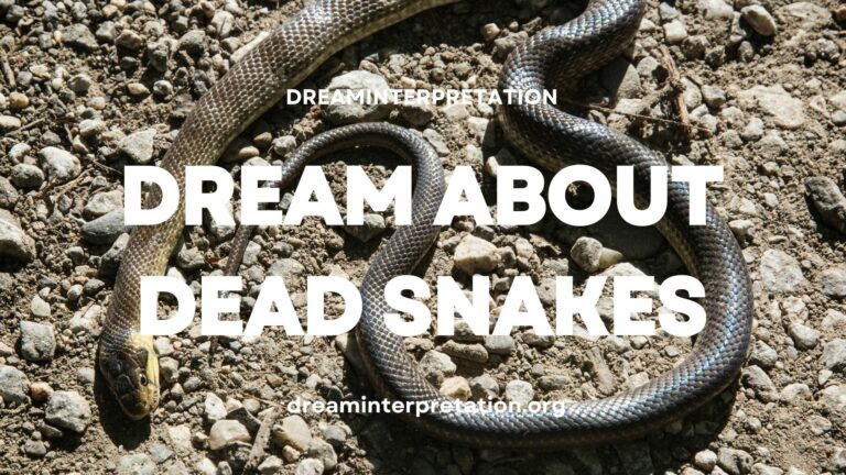 Dream About Dead Snakes (Interpretation & Spiritual Meaning)