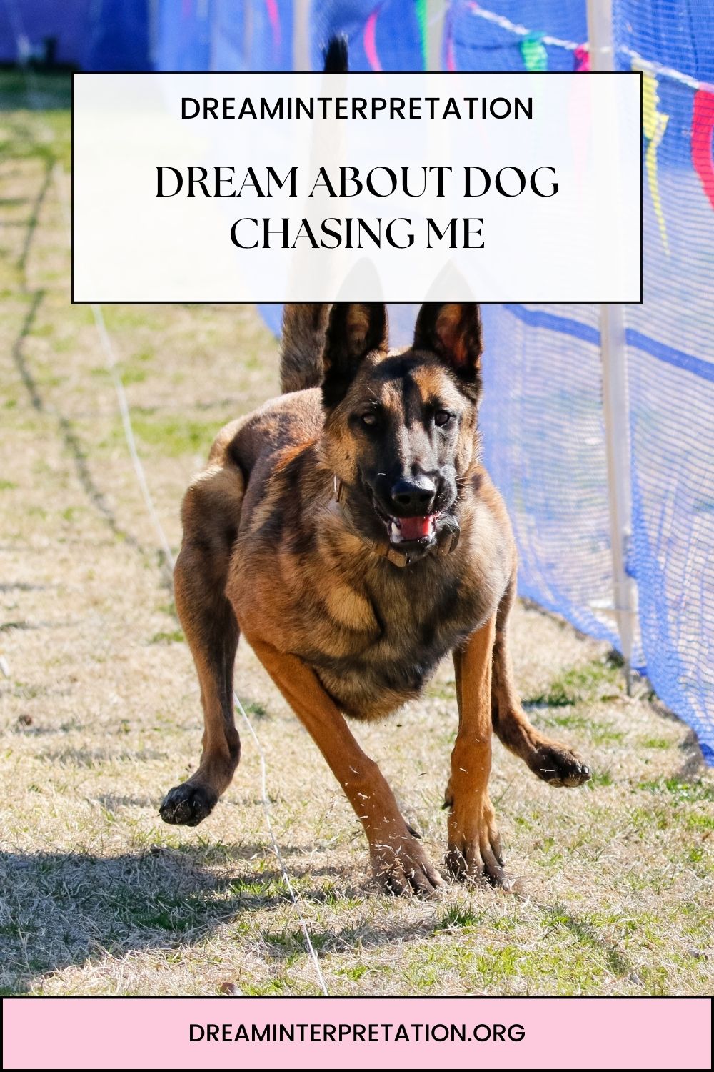 Dream About Dog Chasing Me pin 1