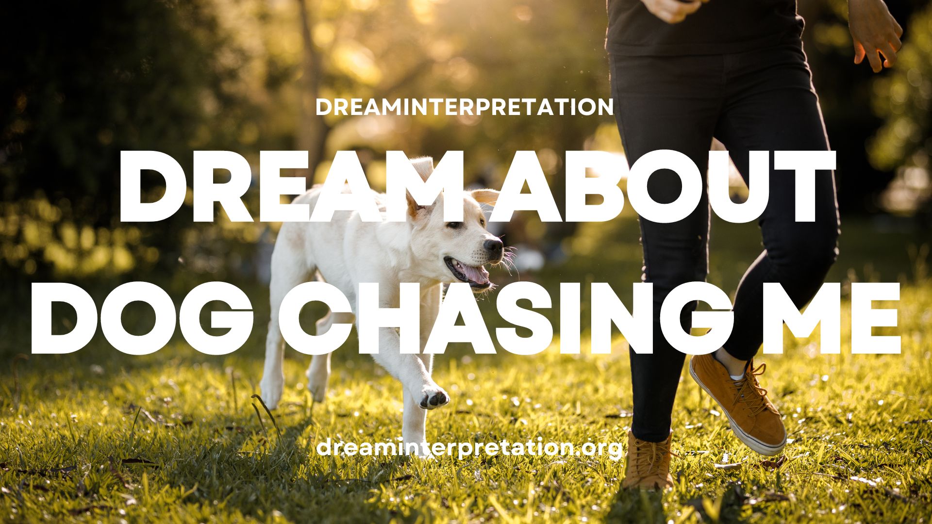 Dream About Dog Chasing Me