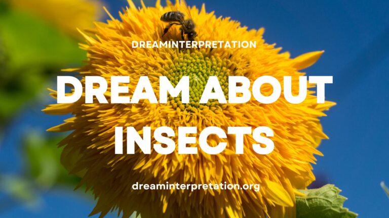 Dream About Insects (Interpretation & Spiritual Meaning)