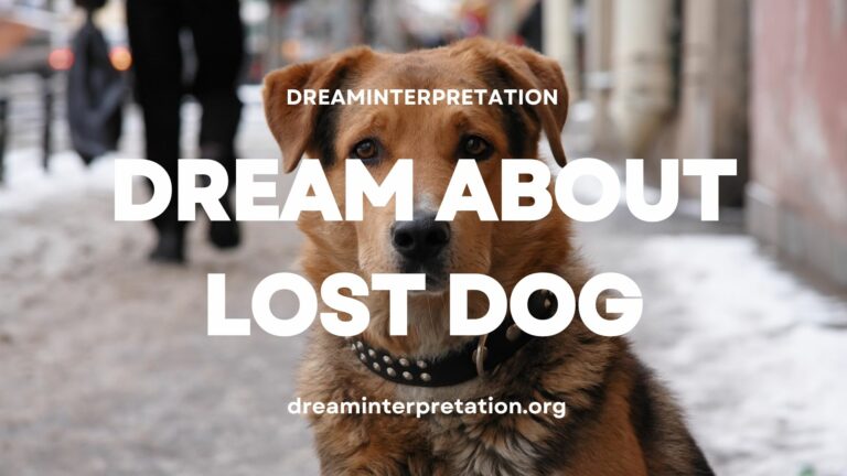 Dream About Lost Dog (Interpretation & Spiritual Meaning)