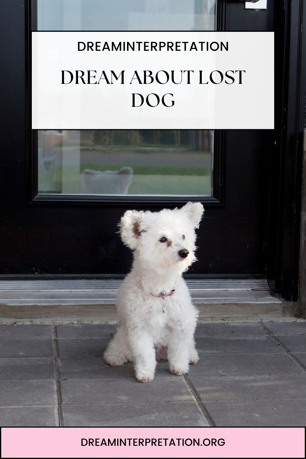 Dream About Lost Dog pin2