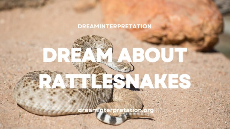 Dream About Rattlesnakes (Interpretation & Spiritual Meaning)
