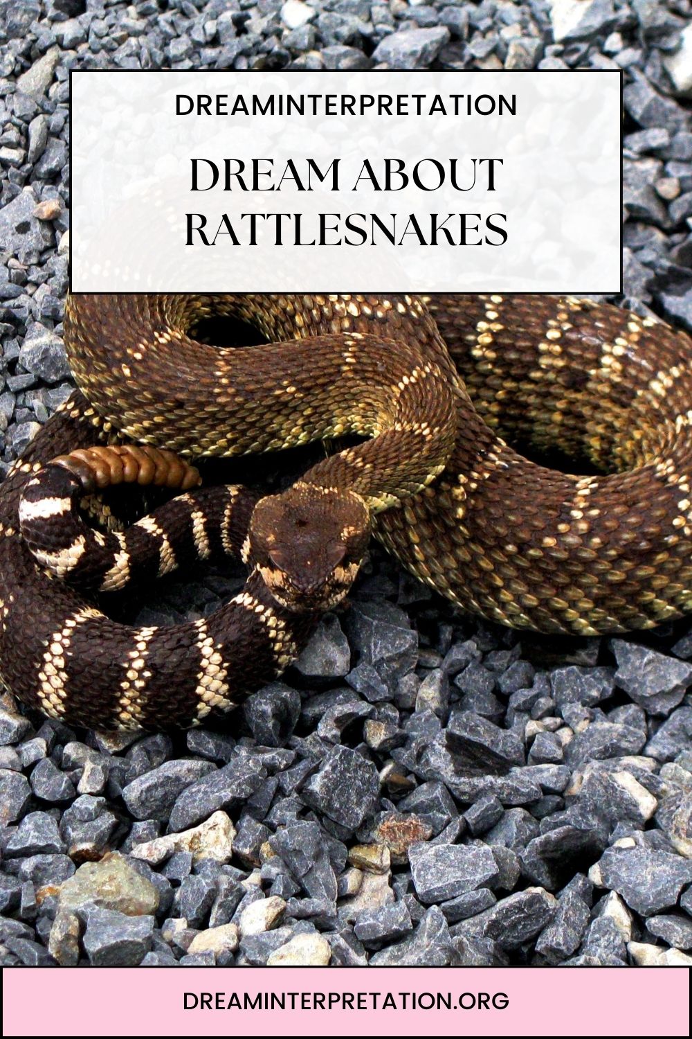 Dream About Rattlesnakes pin2