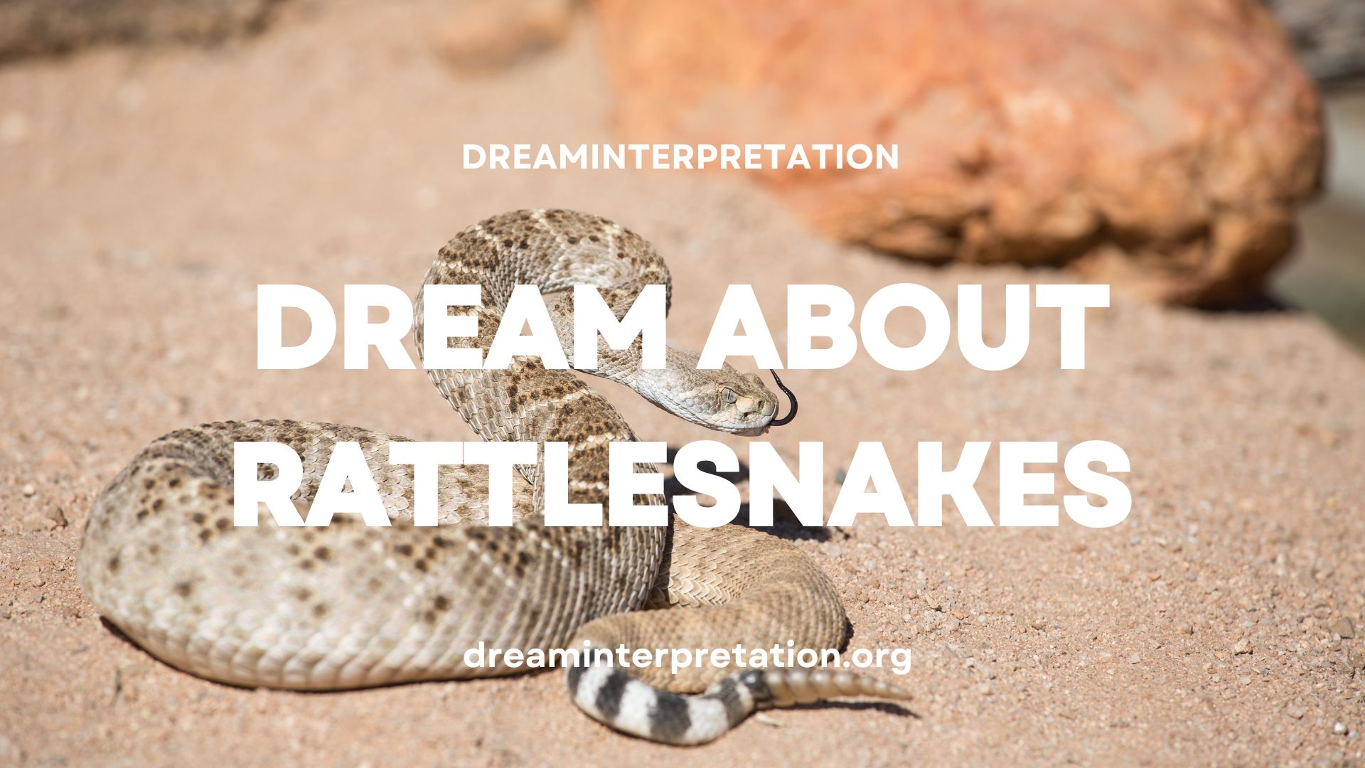 Dream About Rattlesnakes