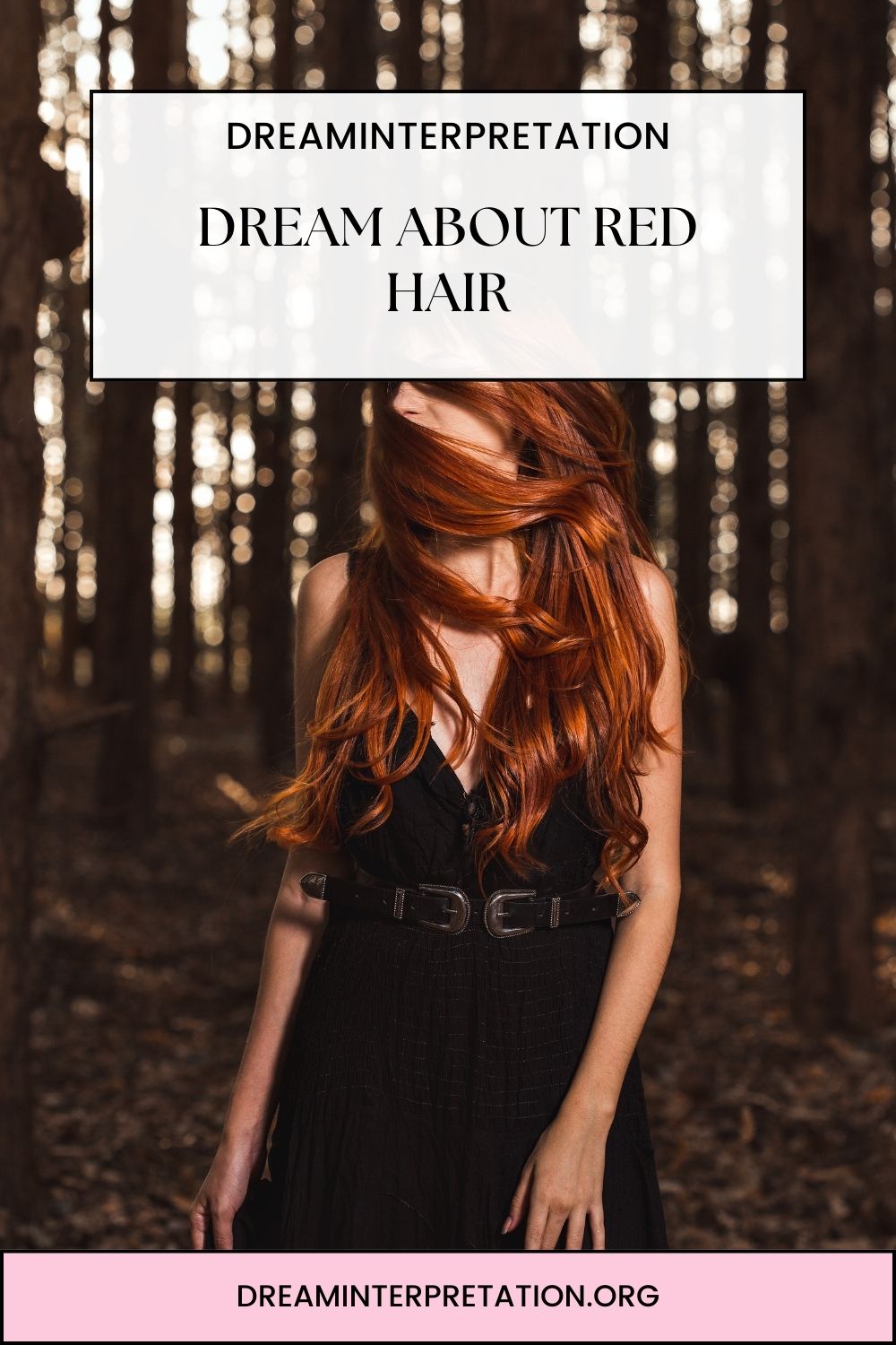 Dream About Red Hair pin 2