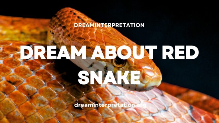 Dream About Red Snake (Interpretation & Spiritual Meaning)