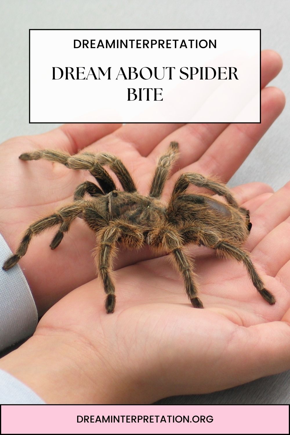 Dream About Spider Bite pin 1