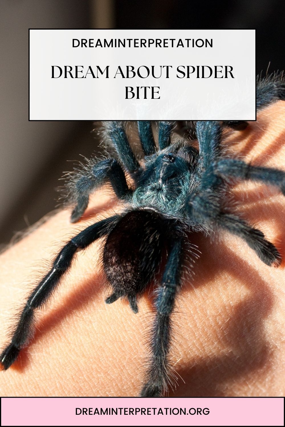 Dream About Spider Bite pin 2