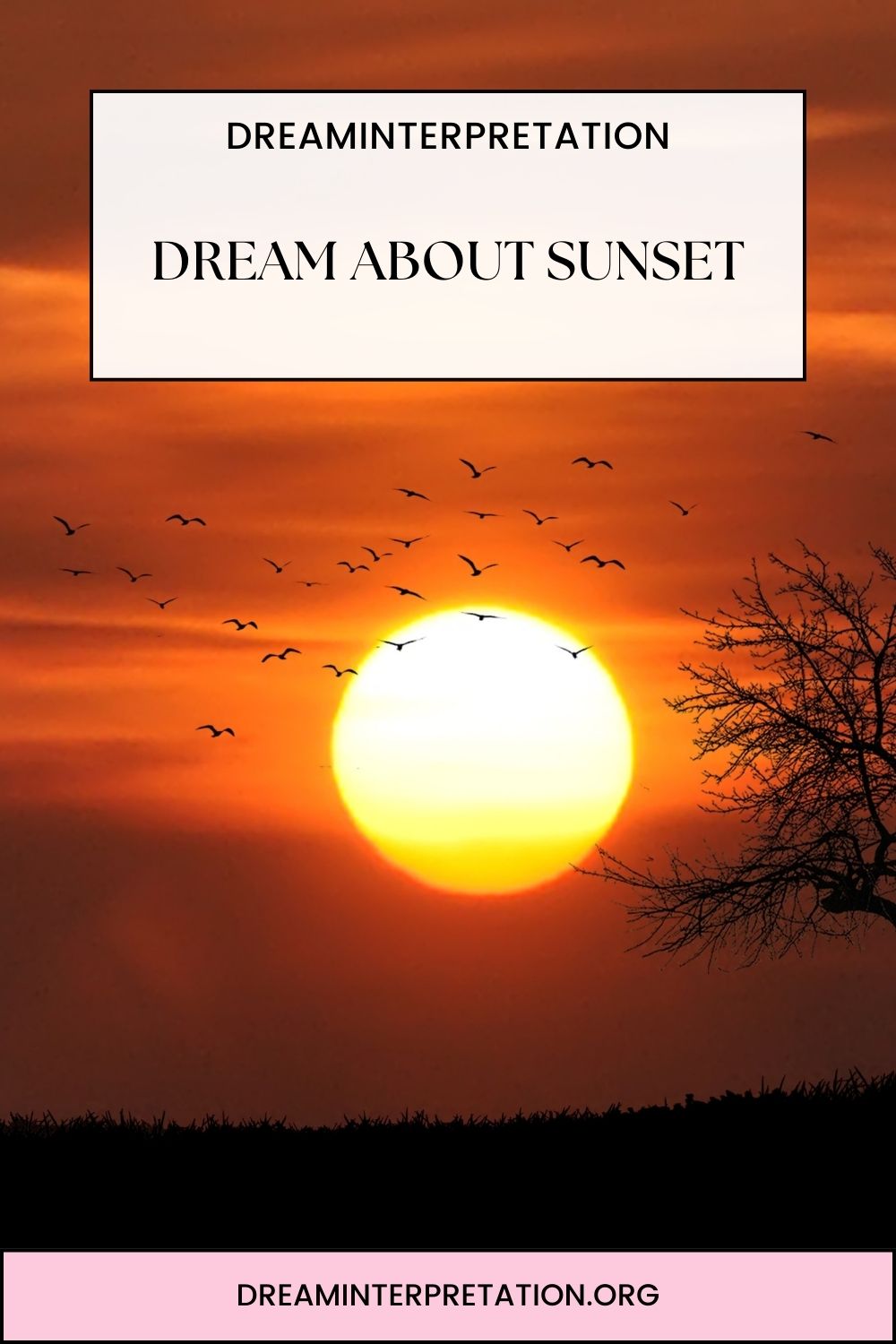 Dream About Sunset pin 1