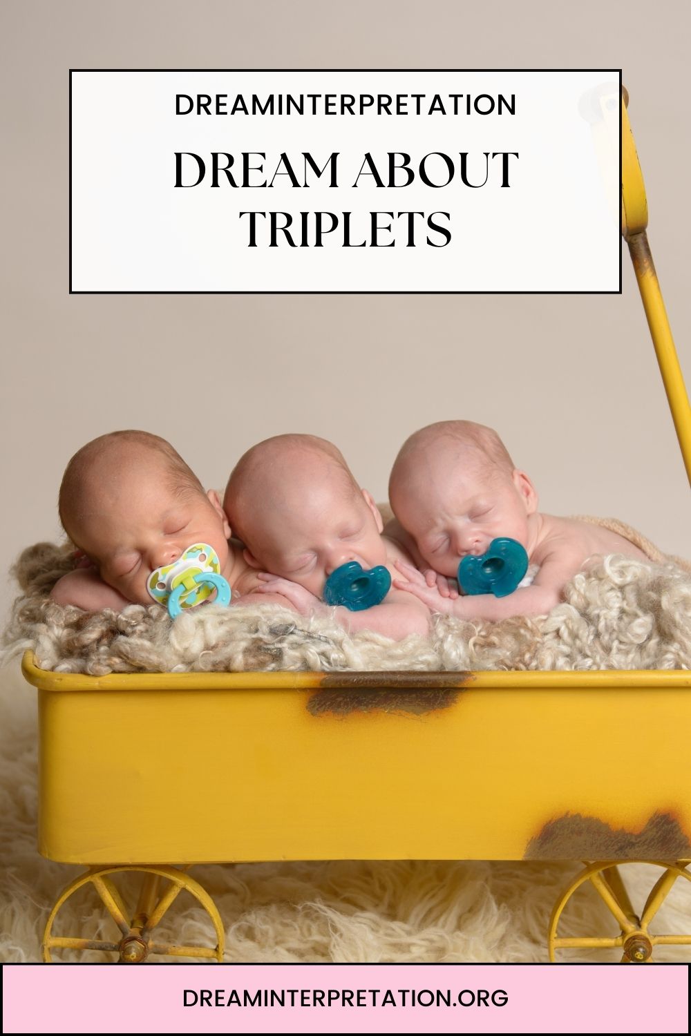 Dream About Triplets pin2