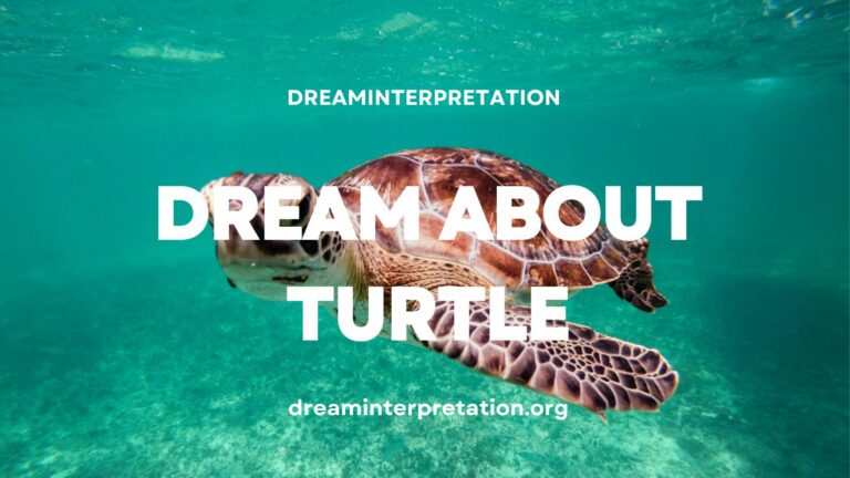 Dream About Turtle? (Interpretation & Spiritual Meaning)