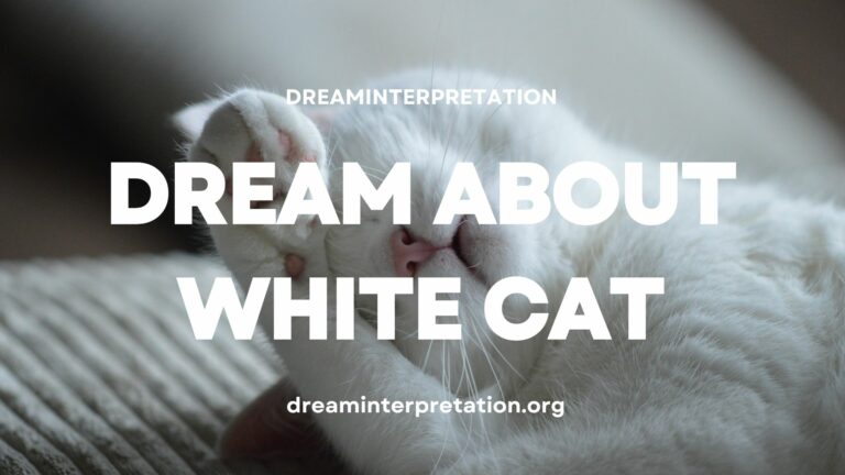Dream About White Cat (Interpretation & Spiritual Meaning)