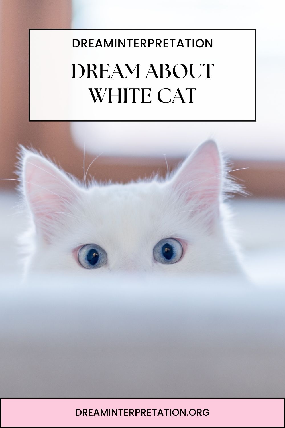 Dream About White Cat pin2