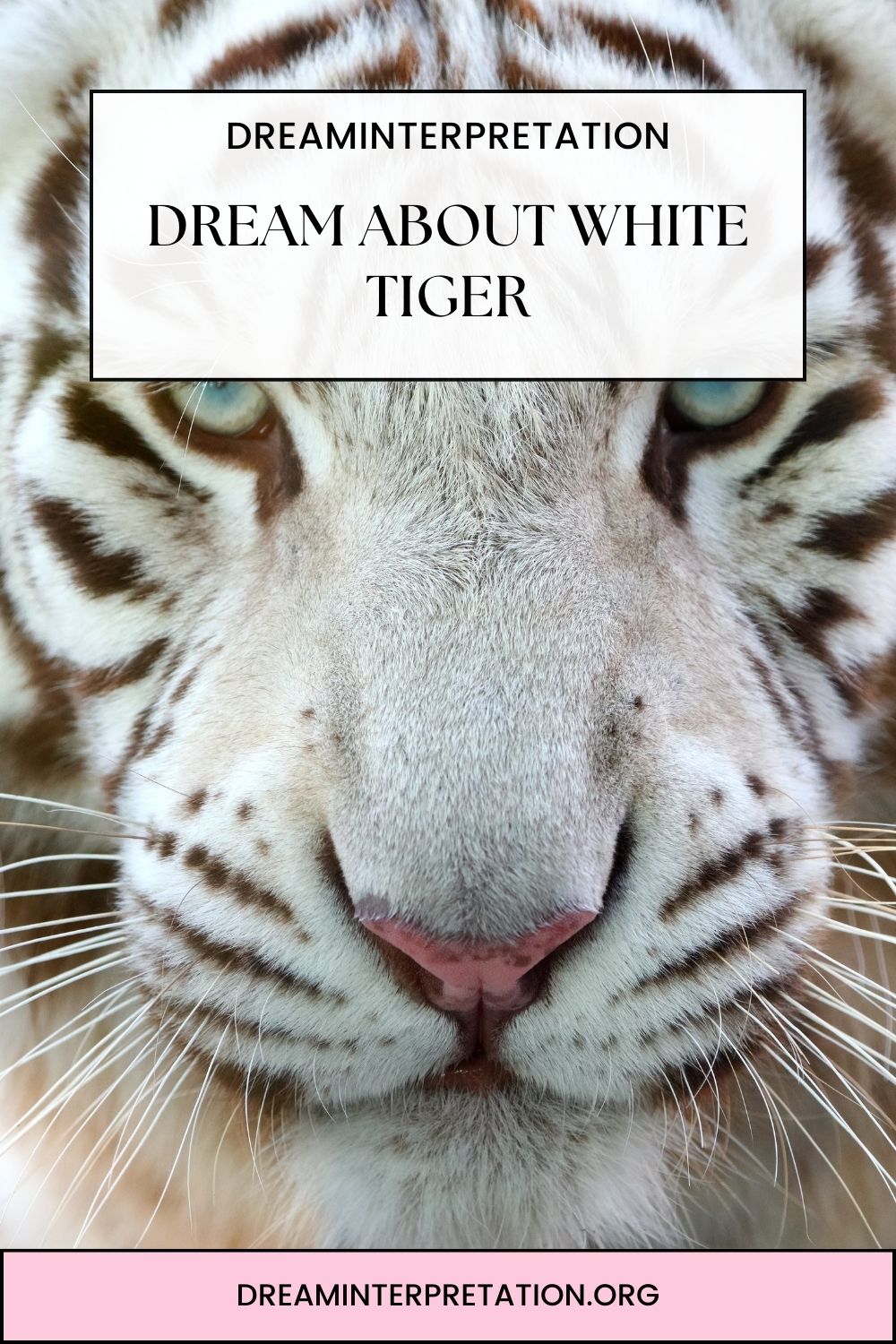 Dream About White Tiger pin 1