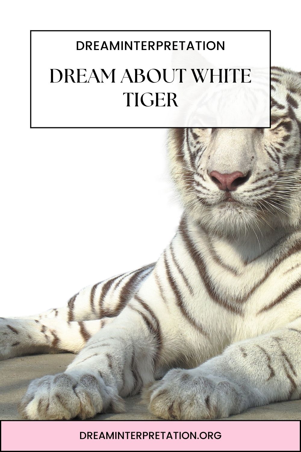 Dream About White Tiger pin 2