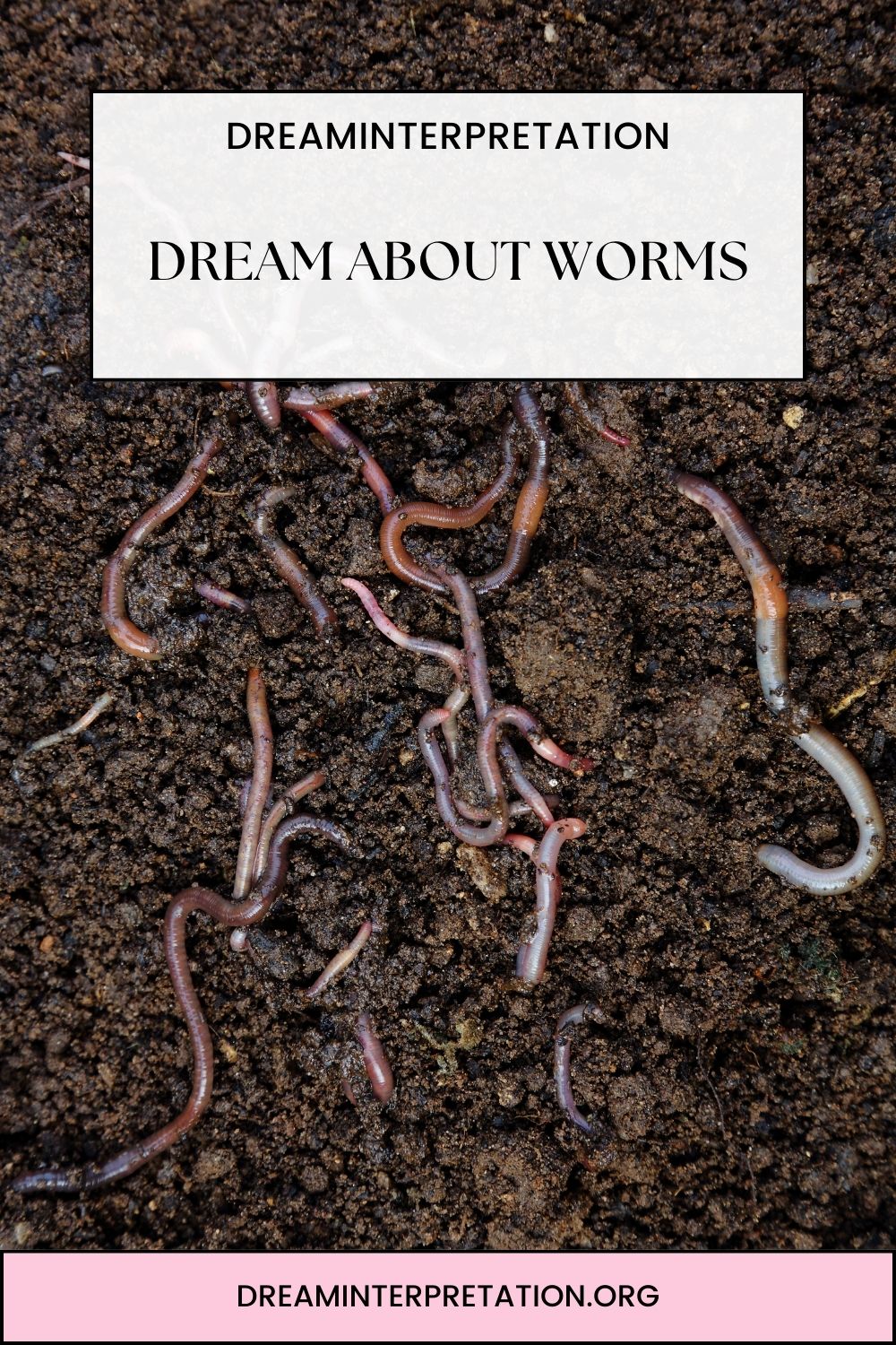 Dream About Worms pin 1