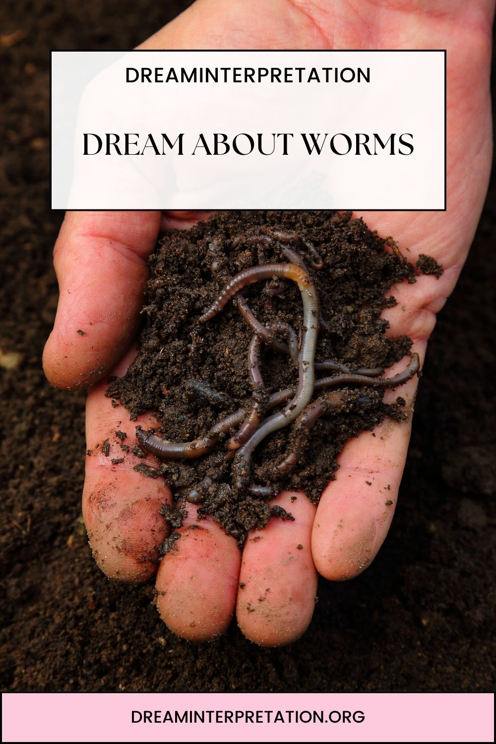 Dream About Worms pin 2