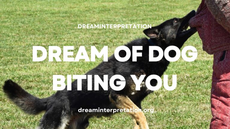 Dream Of Dog Biting You (Interpretation & Spiritual Meaning)