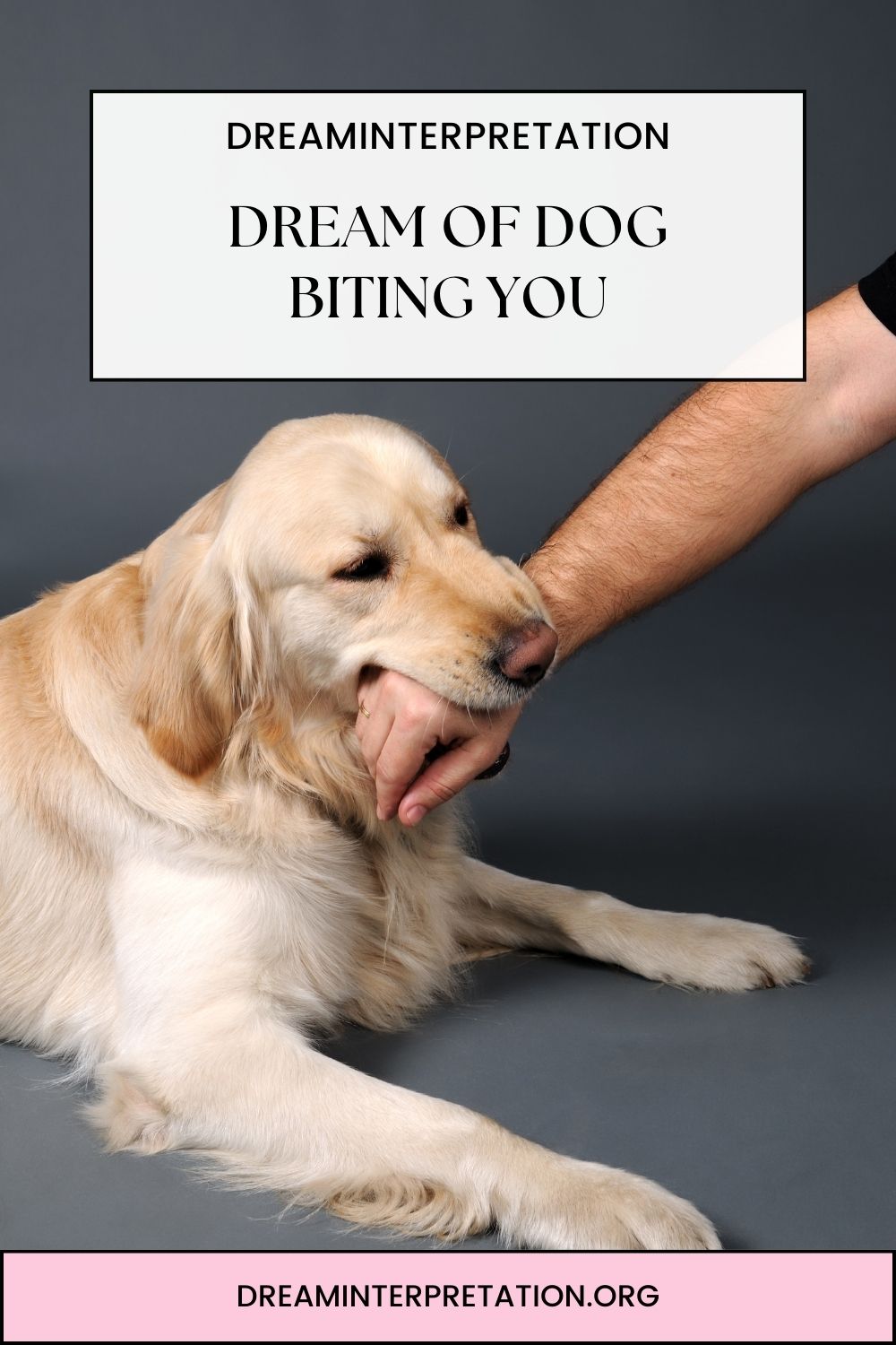 Dream Of Dog Biting You pin1