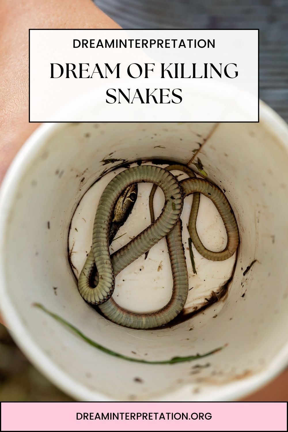 Dream Of Killing Snakes pin1