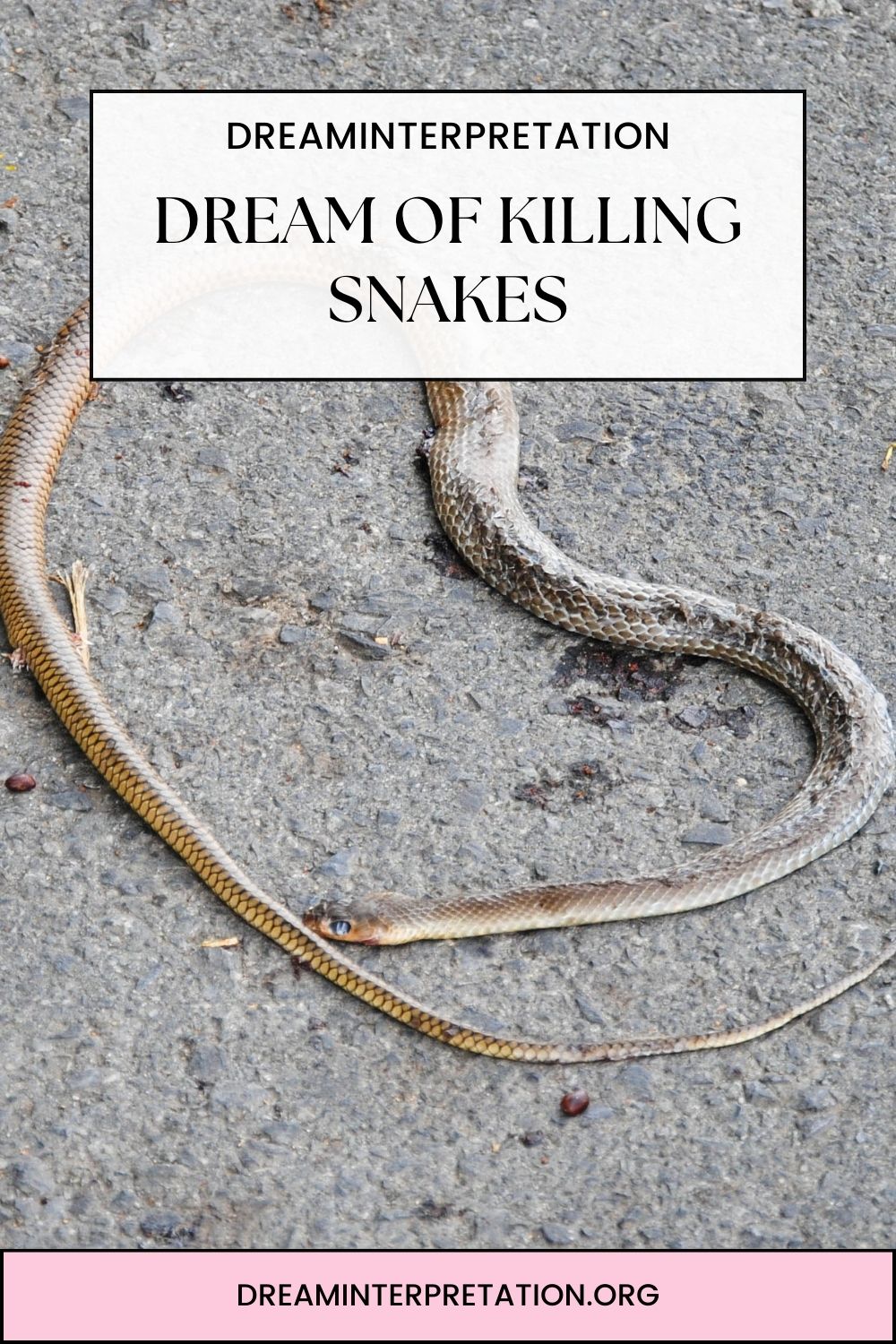 Dream Of Killing Snakes pin2
