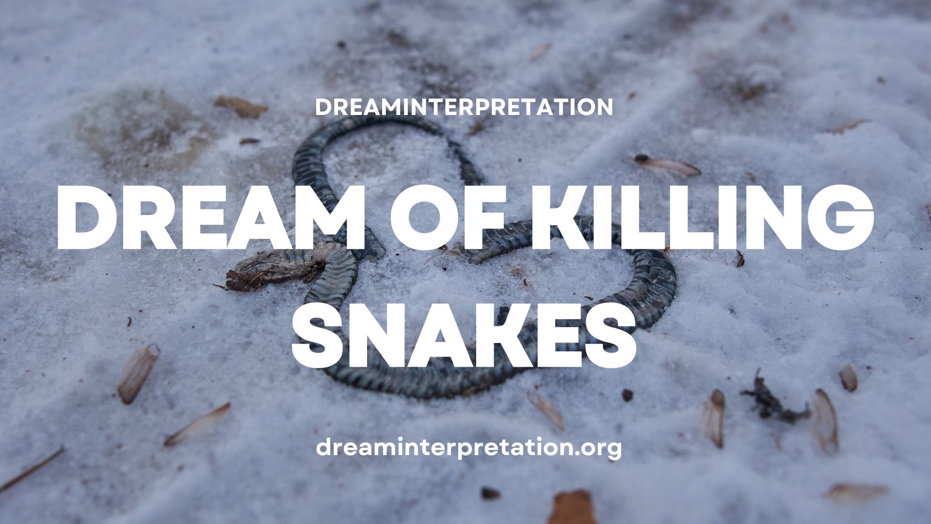 Dream Of Killing Snakes