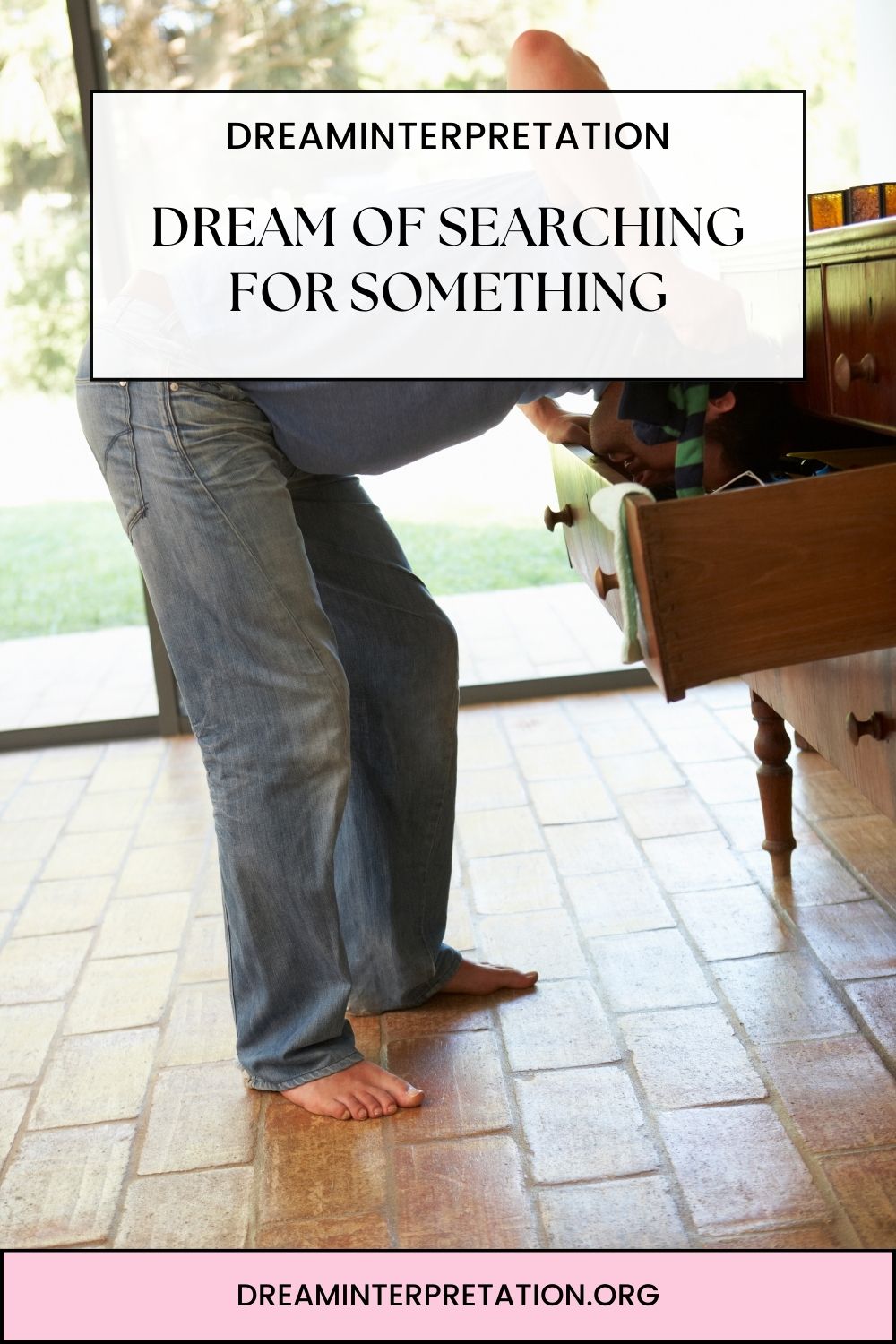 Dream Of Searching For Something pin 1