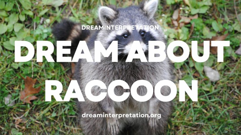 Dream about Raccoon (Interpretation & Spiritual Meaning)