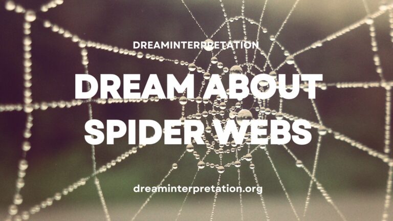 Dream about Spider Webs? (Interpretation & Spiritual Meaning)