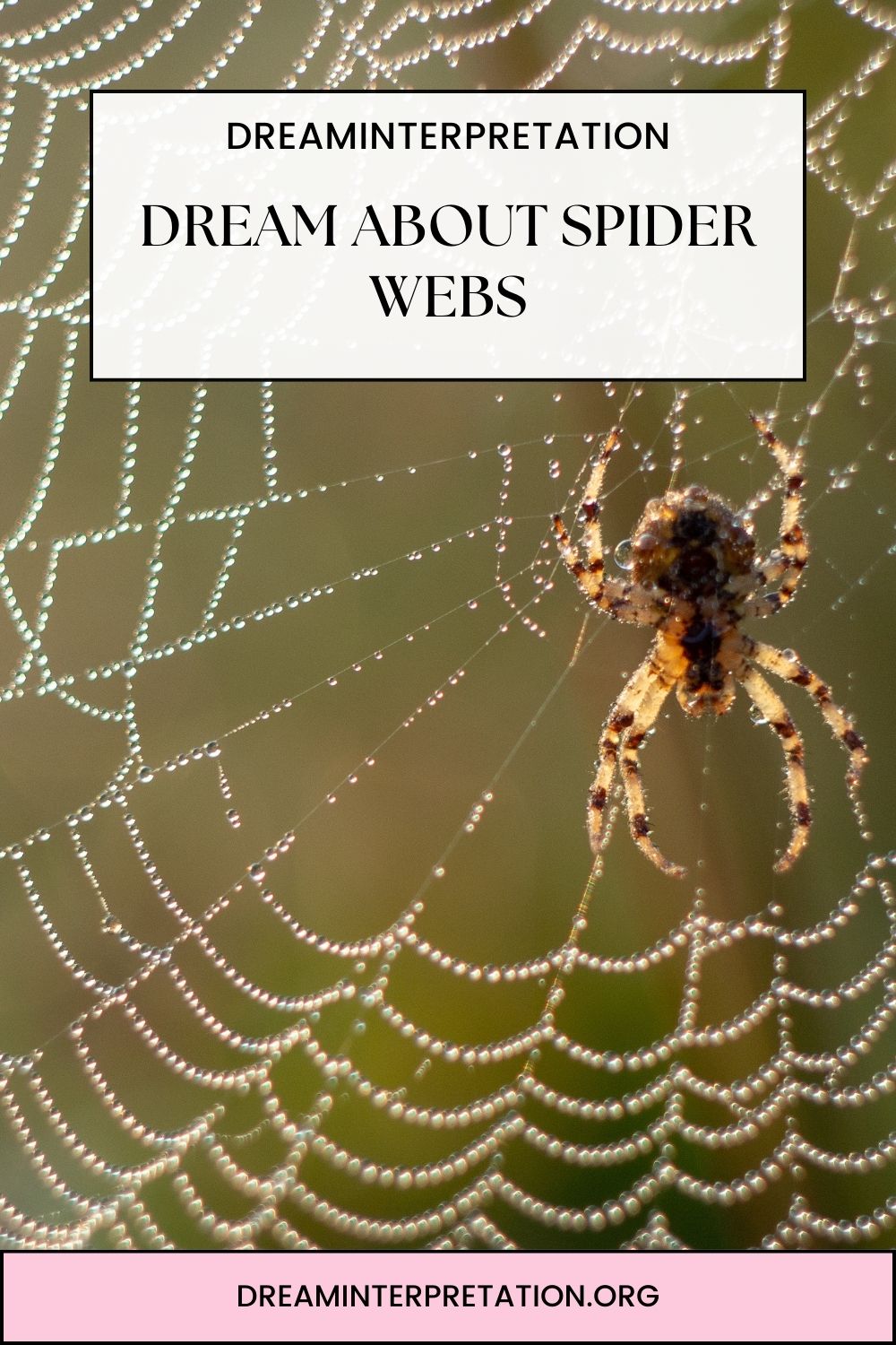 Dream about Spider Webs pin 1
