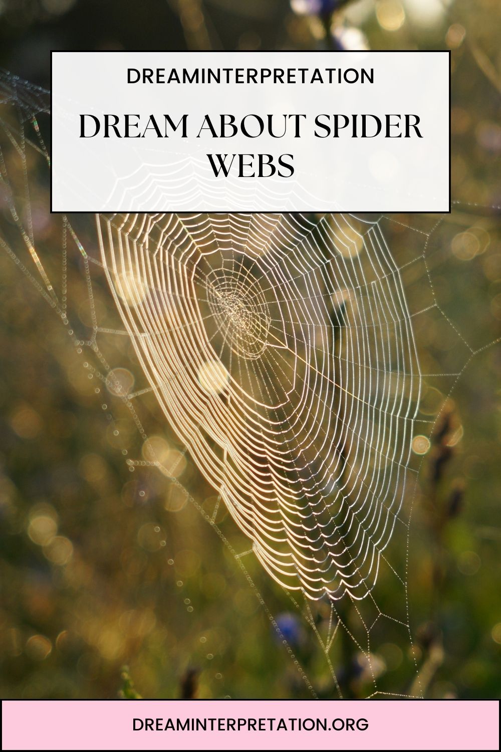 Dream about Spider Webs pin 2