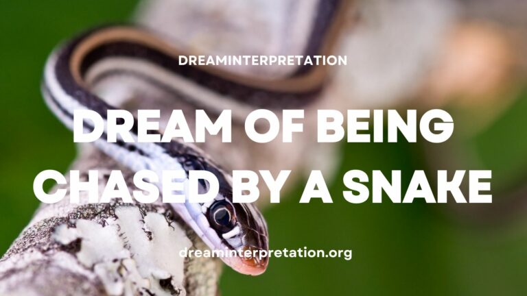 Dream of Being Chased by a Snake (Interpretation & Spiritual Meaning)