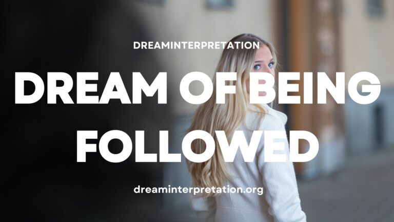Dream of Being Followed (Interpretation & Spiritual Meaning)