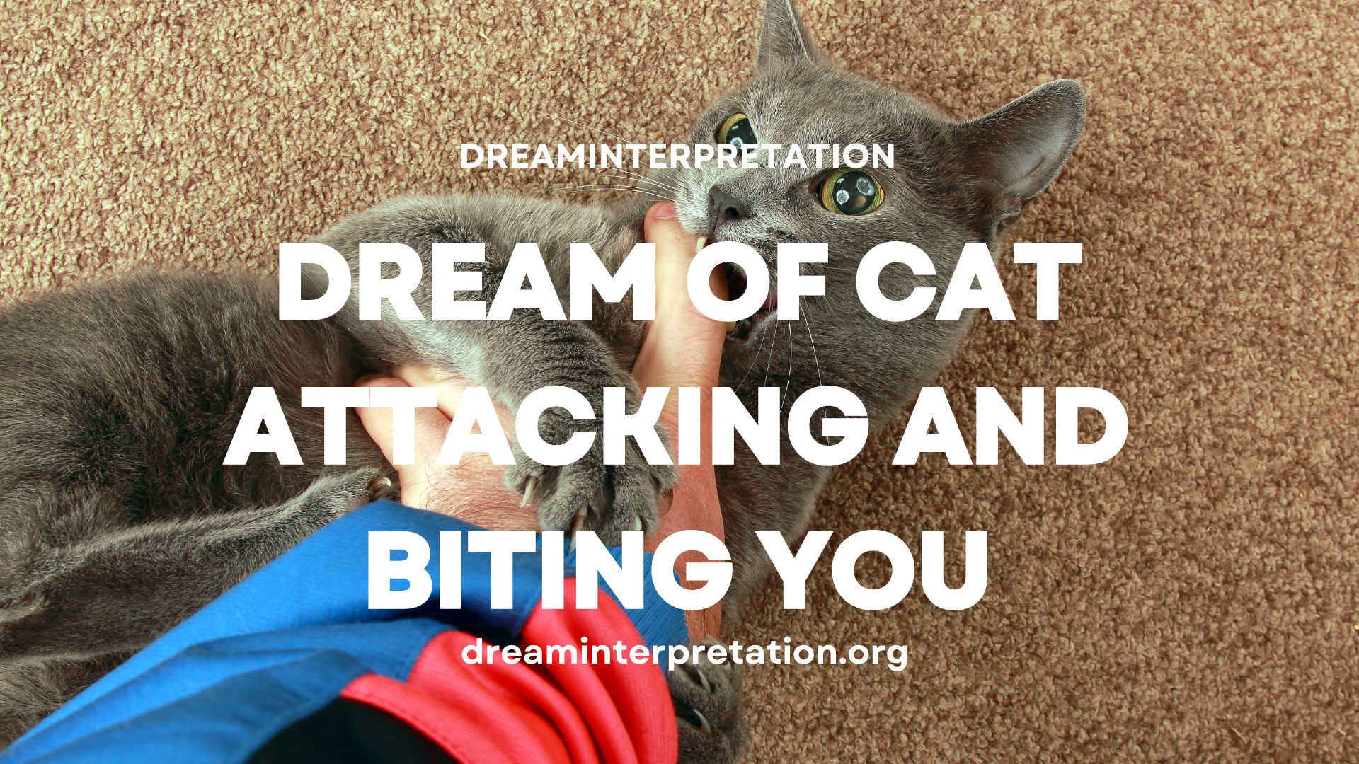 Dream of Cat Attacking and Biting You