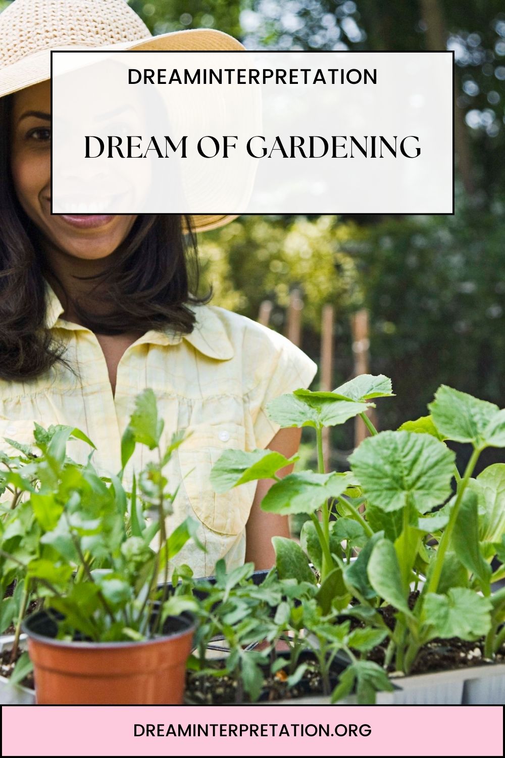 Dream of Gardening pin 2