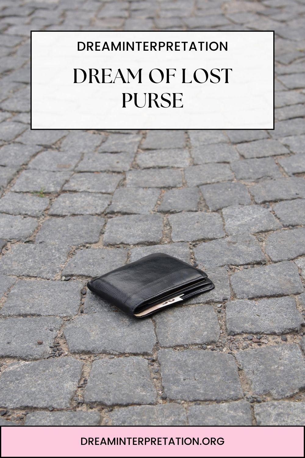Dream of Lost Purse pin 1