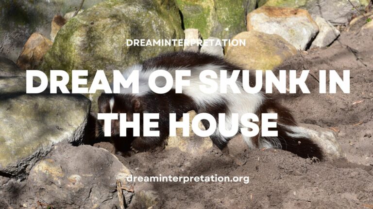 Dream of Skunk in the House? (Interpretation & Spiritual Meaning)