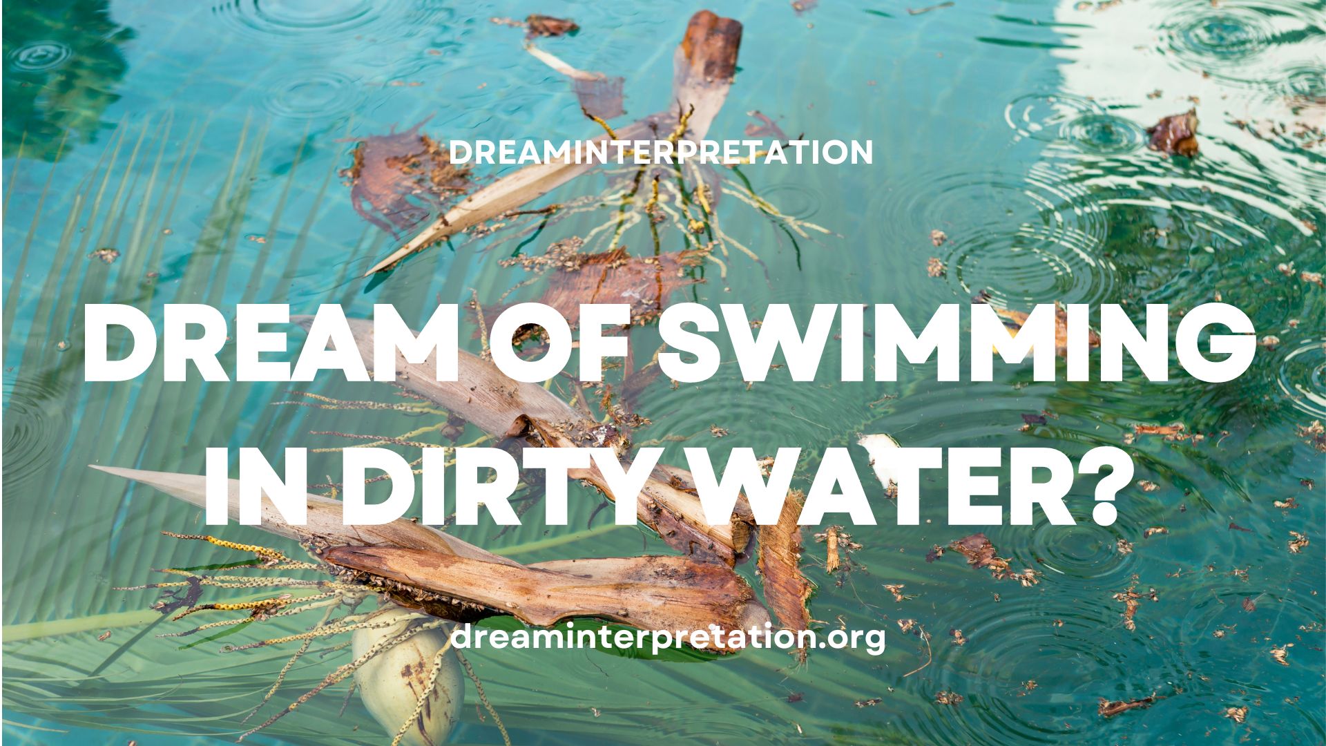 Dream of Swimming in Dirty Water (Interpretation & Spiritual Meaning)